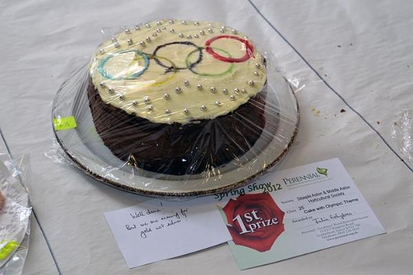 17. An Olympic cake.jpg